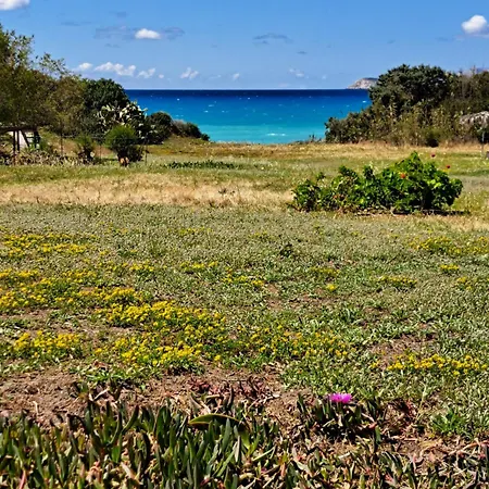 Arancio Independent In Ecovilla On The *