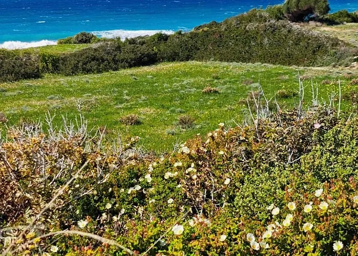 Arancio Independent In Ecovilla On The Apartament *