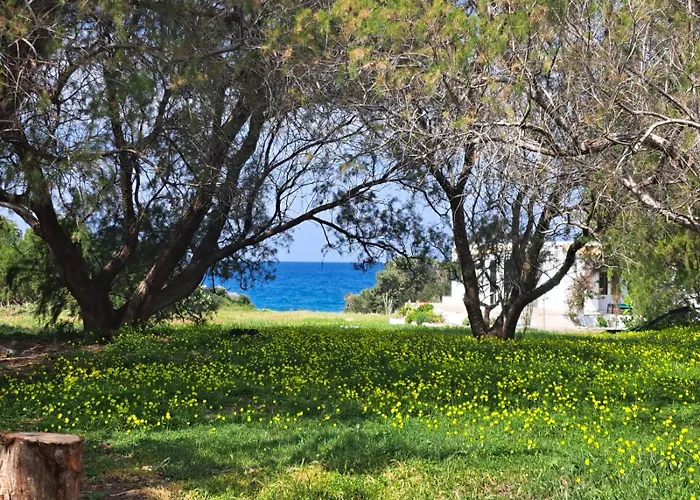 Apartament Arancio Independent In Ecovilla On The Apolakkia