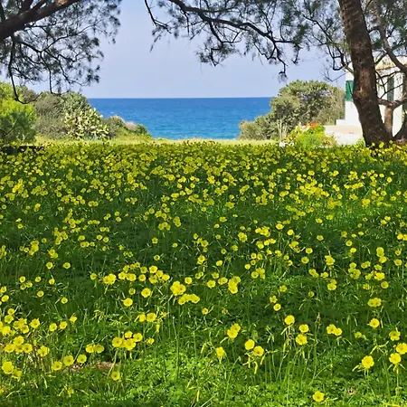 Arancio Independent In Ecovilla On The Apartmán