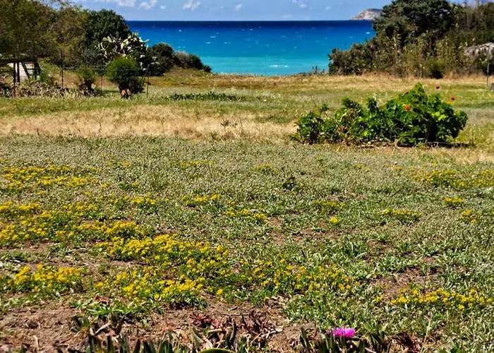 Arancio Independent In Ecovilla On The *