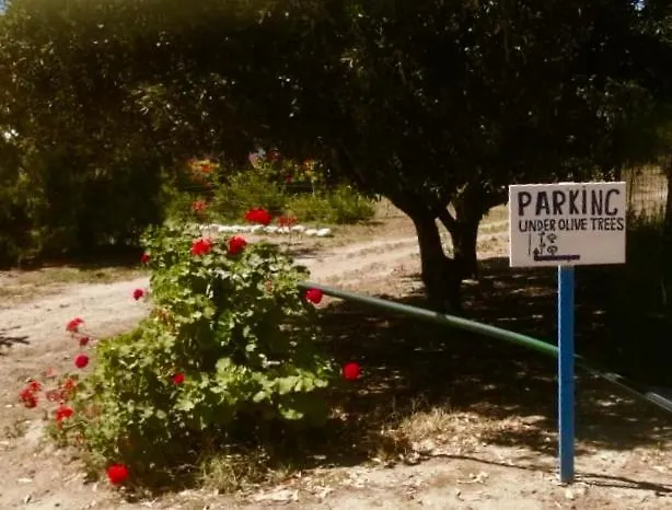 Arancio Independent In Ecovilla On The